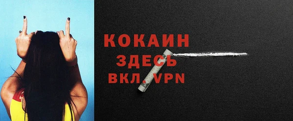 дмт Абаза