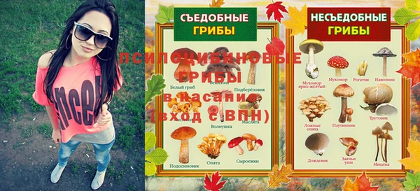 дмт Абаза