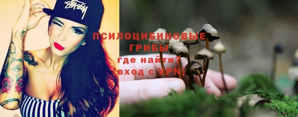герыч Алексин