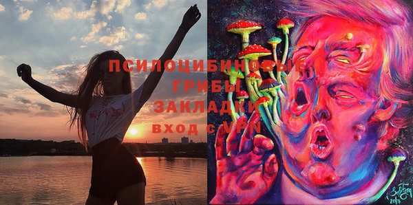 МДПВ Абдулино