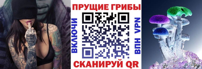 Псилоцибиновые грибы прущие грибы  KRAKEN как зайти  Котовск 